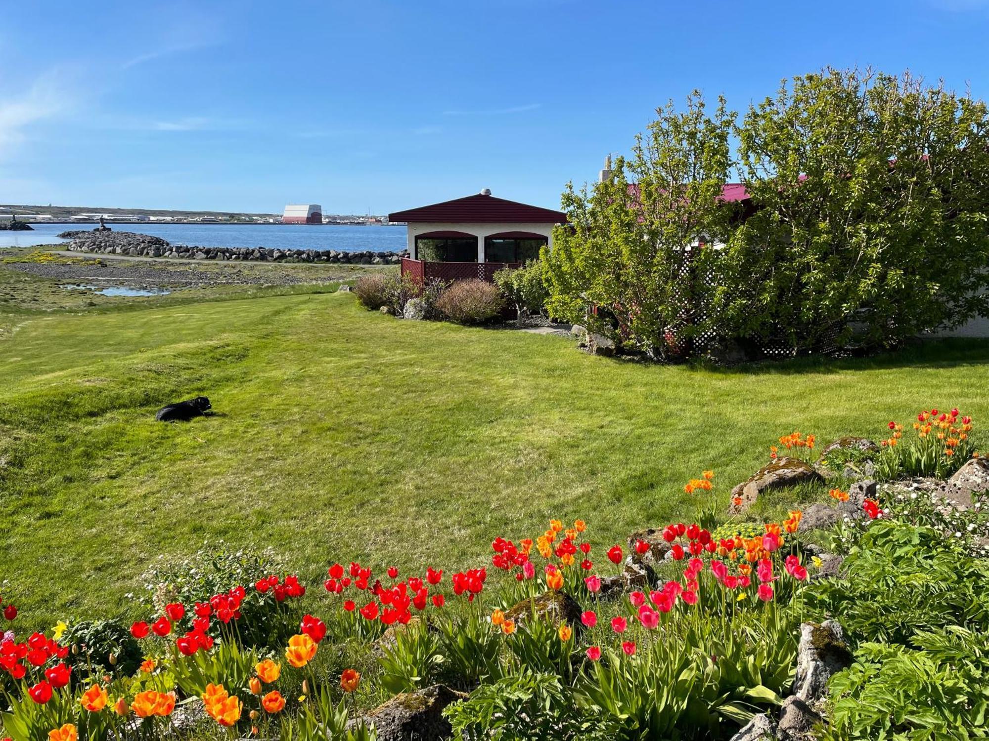 Alka - Cozy Room By The Sea With Private Hot Tub Njarthvik Extérieur photo